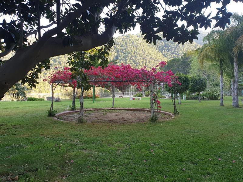 Villa Montgrau Llano de Gorra Zewnętrze zdjęcie